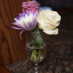 SVC-1082