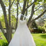 LMSG (131 of 1281)