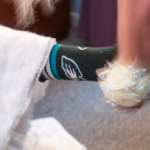 EBKJ SS-193
